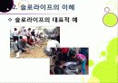 [슬로우라이프]슬로우라이프의 정의와 필요성 및 긍정적 효과 이해, 슬로라이프의 실천과(슬로푸드, 슬로시티, 슬로관광) 느림의 미학 17페이지