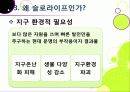 [슬로우라이프]슬로우라이프의 정의와 필요성 및 긍정적 효과 이해, 슬로라이프의 실천과(슬로푸드, 슬로시티, 슬로관광) 느림의 미학 21페이지