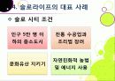 [슬로우라이프]슬로우라이프의 정의와 필요성 및 긍정적 효과 이해, 슬로라이프의 실천과(슬로푸드, 슬로시티, 슬로관광) 느림의 미학 29페이지