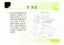 용접의 모든것 32페이지