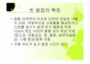 용접의 모든것 33페이지