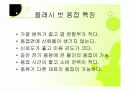 용접의 모든것 35페이지