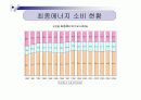 우리나라의 에너지원별 년도별 현황, 수급과 전망을 도표를 곁들여 쓰시오. 8페이지