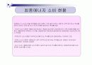 우리나라의 에너지원별 년도별 현황, 수급과 전망을 도표를 곁들여 쓰시오. 11페이지