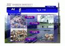 기술과 사회(기술발달과 사회의 변화, 이에대한 문제점과 대책).ppt 5페이지