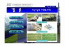 기술과 사회(기술발달과 사회의 변화, 이에대한 문제점과 대책).ppt 13페이지