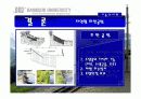 기술과 사회(기술발달과 사회의 변화, 이에대한 문제점과 대책).ppt 14페이지