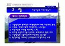 기술과 사회(기술발달과 사회의 변화, 이에대한 문제점과 대책).ppt 15페이지
