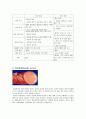 양성종양(benign tumor)과 악성종양(malignant tumor)의 차이점 2페이지