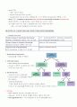 미생물의 분류 및 확인 방법 4페이지