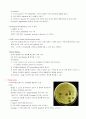 미생물의 분류 및 확인 방법 5페이지