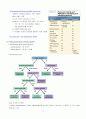 미생물의 분류 및 확인 방법 8페이지