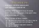 대학생 mp3 소비실태연구(A+보고서) 4페이지