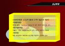 교육조직론(교육행정) 15페이지