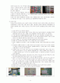 유아교육과 물리적 환경 4페이지