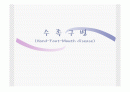 수족구병(Hand Foot Mouth disease) 1페이지