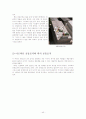 19세기 파리 예술가의 삶과 작품(모딜리아니, 에릭사티, 드뷔시, 피카소) 45페이지