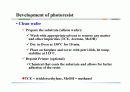 photolithography 6페이지
