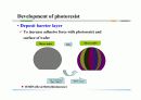 photolithography 7페이지