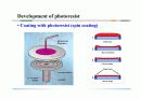 photolithography 9페이지