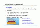 photolithography 11페이지