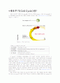 [생물학] Cell cycle과 CDK 1페이지