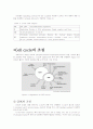 [생물학] Cell cycle과 CDK 4페이지