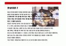 반상에 대한 이해(韓食) 3페이지