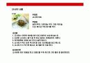 반상에 대한 이해(韓食) 23페이지
