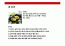 반상에 대한 이해(韓食) 28페이지