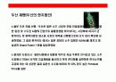 일본시장에 대한 이해와 진출 성공기업 사례분석 27페이지