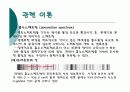 일반화학)원소의 스펙트럼 발표-파워포인트 자료 7페이지