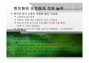 [지식경영A+] 놀부,한국 야구르트,SAMT,DMS 지식경영사례 분석 3페이지