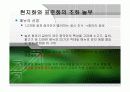 [지식경영A+] 놀부,한국 야구르트,SAMT,DMS 지식경영사례 분석 5페이지
