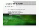[지식경영A+] 놀부,한국 야구르트,SAMT,DMS 지식경영사례 분석 14페이지