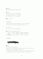 수산물 유통, 감별법, 수산물 유통, 수산물 종류 28페이지