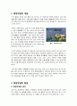 [해양오염]해양오염 문제의 이해(정의, 발생원인, 피해, 영향, 심각성), 해양오염 실태와 대표 사례(기름유출), 해양오염의 해결방안 고찰 2페이지