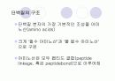단백질 실험 4페이지