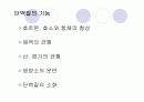 단백질 실험 8페이지