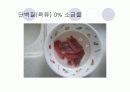단백질 실험 14페이지