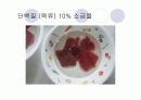 단백질 실험 16페이지