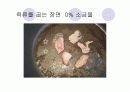 단백질 실험 17페이지