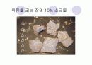 단백질 실험 19페이지