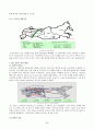 세계인의 정(情), 오리온 초코파이 30페이지