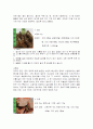 지역별 향토음식 15페이지