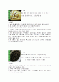 지역별 향토음식 32페이지