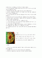 지역별 향토음식 41페이지
