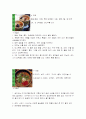 지역별 향토음식 43페이지