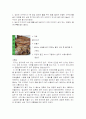 지역별 향토음식 44페이지