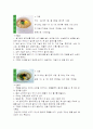 지역별 향토음식 55페이지